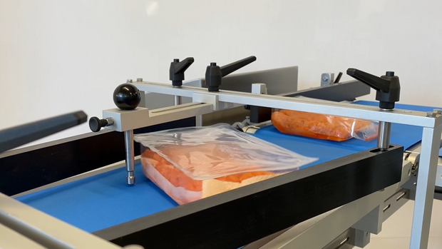 Inliner Einheit von Teltek zur gleichmäßigen Ausrichtung der Produkte auf dem Fließband